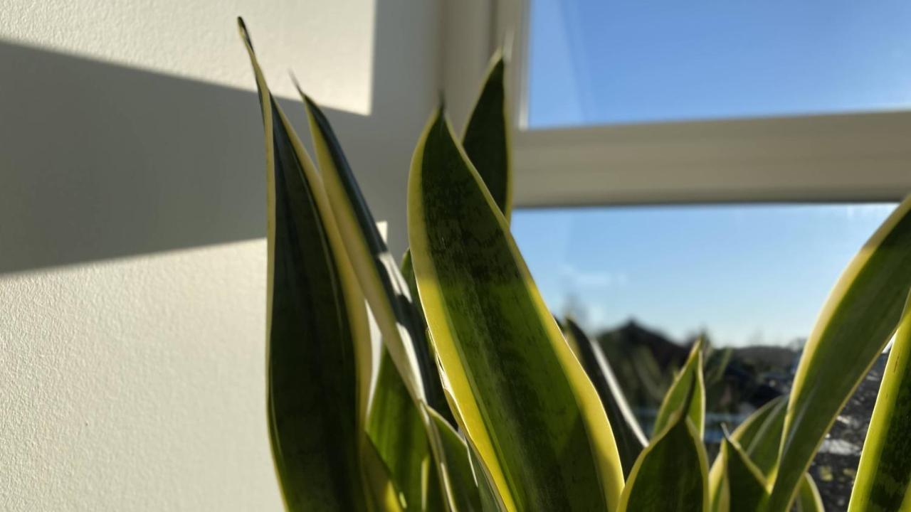 Villa Soholt - Silkeborg Bed And Breakfast 外观 照片